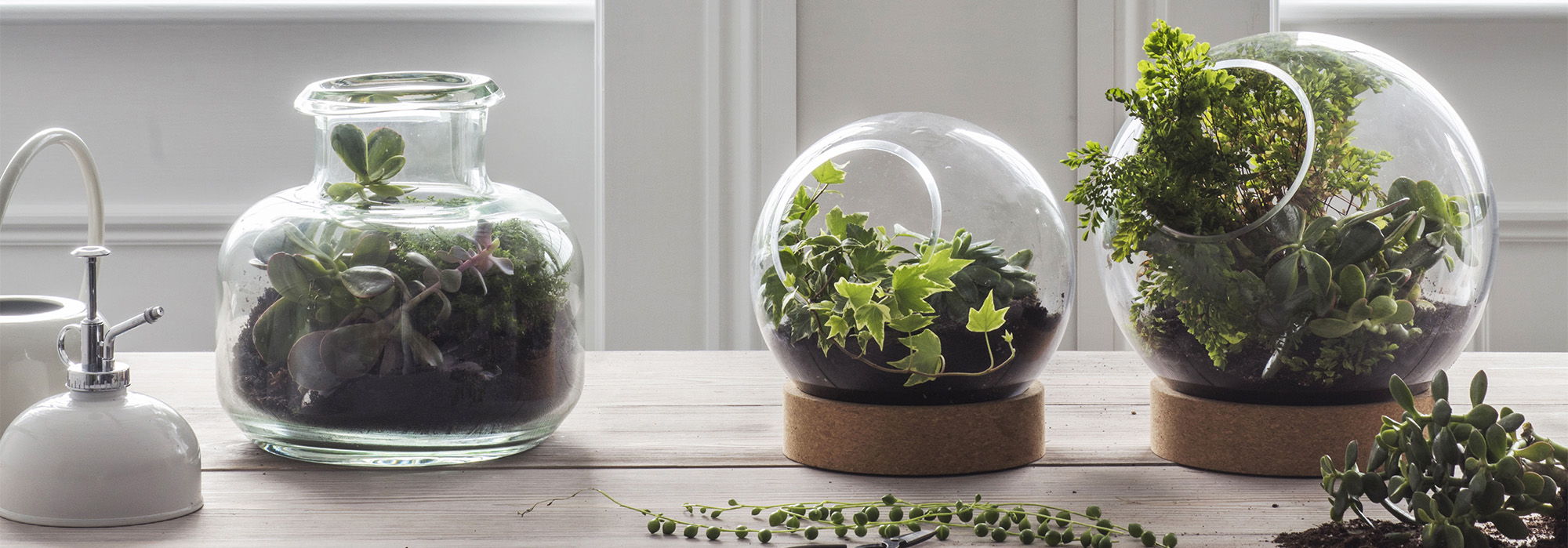 Optimal Glass Plant Shop -Optimal Glass Plant Shop 3