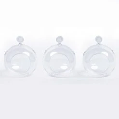 Glass Christmas Ball - Airplant And Reindeer Moss -Optimal Glass Plant Shop 3x19811