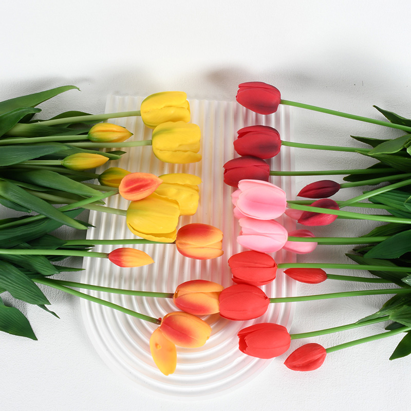 Optimal Glass Plant Shop -Optimal Glass Plant Shop 4