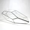 Geometric Terrarium - Plantasia - Vivarium ↑ 50 X 25 X 17,5 Cm (LxWxH) - Glass -Optimal Glass Plant Shop Astra 1 757af791 db74 4586 9820 534c8227a8a0