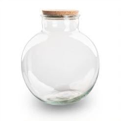 Terrarium Bottle 'Bolder Bob' - Incl. (LED) Cork - Closed Terrarium Ø 30 Cm ↑ 31 Cm -Optimal Glass Plant Shop BolderBob terrarium fles kurk