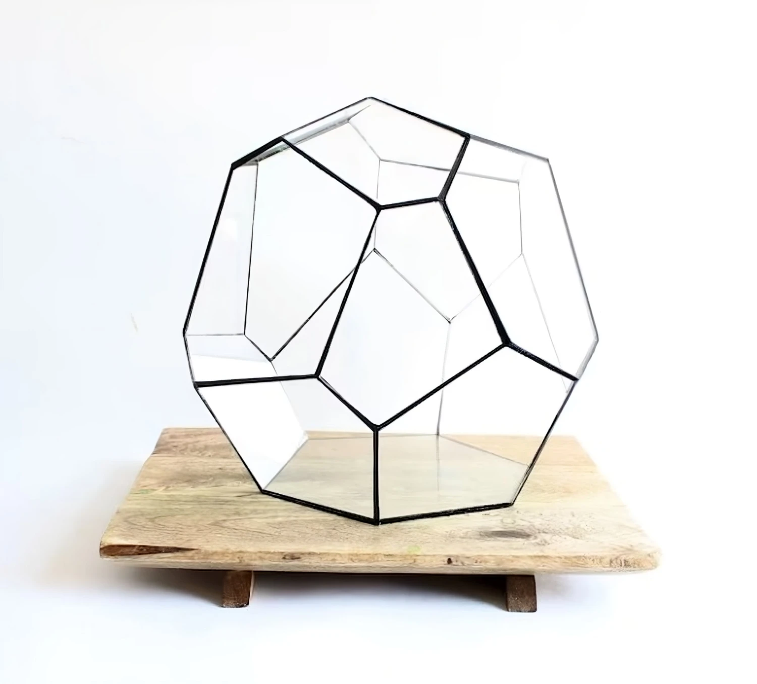 Geometric Terrarium - Cosmo - Vivarium - ↑ 31 X 29 X 29 Cm (LxWxH) - Glass 3 Geometric Terrarium - Cosmo - Vivarium - ↑ 31 X 29 X 29 Cm (LxWxH) - Glass