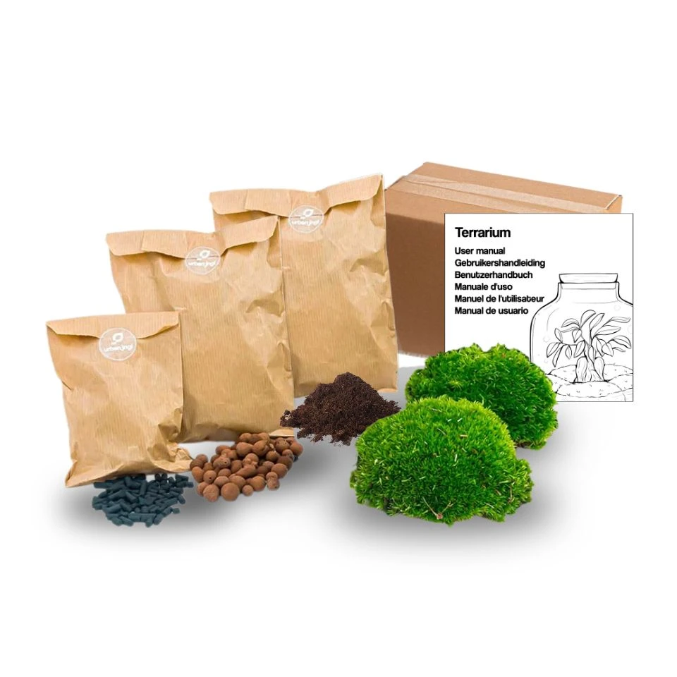 Terrarium Package – Refill & Starter Package – DIY Terrarium Kit – Size S/M 6 Terrarium Package – Refill & Starter Package – DIY Terrarium Kit – Size S/M - Image 4