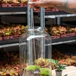 Terrarium Tool - Rake - 16-49 Cm - Telescopic - Stainless Steel 12 Terrarium Tool - Rake - 16-49 Cm - Telescopic - Stainless Steel -Optimal Glass Plant Shop DSC05490