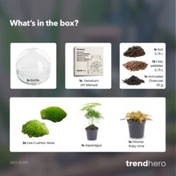 Dome Red - Two-part Round Glass Terrarium - Bottle Garden DIY Kit - Ø 20 Cm ↑ 20 Cm -Optimal Glass Plant Shop Dome red terrarium diy bottle garden