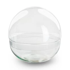Terrarium Bottle ‘Dome’ – Two-part Round Glass – Closed Terrarium Ø 20 Cm ↑ 20 Cm