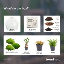 Dome XL Bonsai - Two-part Round Glass Terrarium - Bottle Garden DIY Kit - Ø 28 Cm ↑ 28 Cm 7 Dome XL Bonsai - Two-part Round Glass Terrarium - Bottle Garden DIY Kit - Ø 28 Cm ↑ 28 Cm -Optimal Glass Plant Shop Dome xl bonsai terrarium diy bottle garden