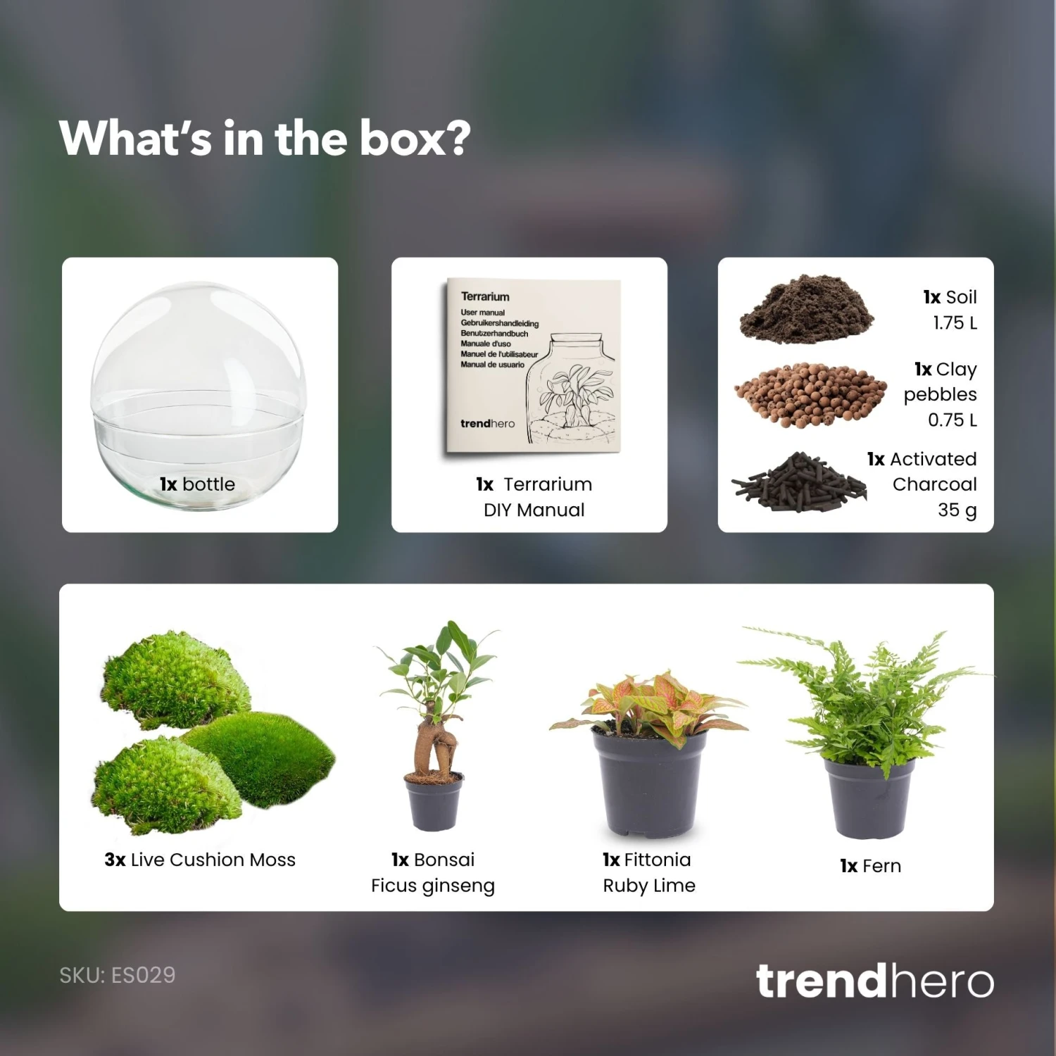 Dome XL Bonsai - Two-part Round Glass Terrarium - Bottle Garden DIY Kit - Ø 28 Cm ↑ 28 Cm 5 Dome XL Bonsai - Two-part Round Glass Terrarium - Bottle Garden DIY Kit - Ø 28 Cm ↑ 28 Cm - Image 3