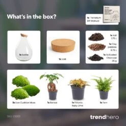 Drop XL Red - Terrarium With Cork - Bottle Garden DIY Kit – Ø 24 Cm ↑ 37 Cm -Optimal Glass Plant Shop Drop XL Bonsai red terrarium diy bottle garden 95717320 ffce 4ef1 b7ff 441242f51cb5