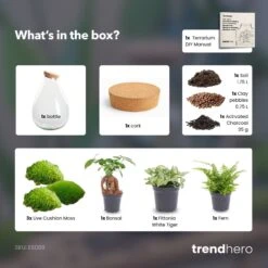 Drop XL Green - Terrarium With Cork - Bottle Garden DIY Kit – Ø 24 Cm ↑ 37 Cm -Optimal Glass Plant Shop Drop XL Bonsai white terrarium diy bottle garden a0881a44 9705 4e06 95b5 a7d275935994