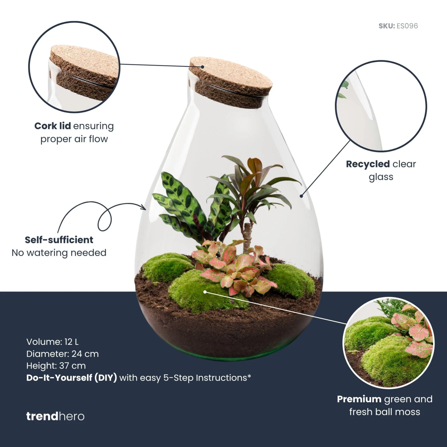 Drop XL Palm - Terrarium With Cork - Bottle Garden DIY Kit – Ø 24 Cm ↑ 37 Cm 4 Drop XL Palm - Terrarium With Cork - Bottle Garden DIY Kit – Ø 24 Cm ↑ 37 Cm - Image 2