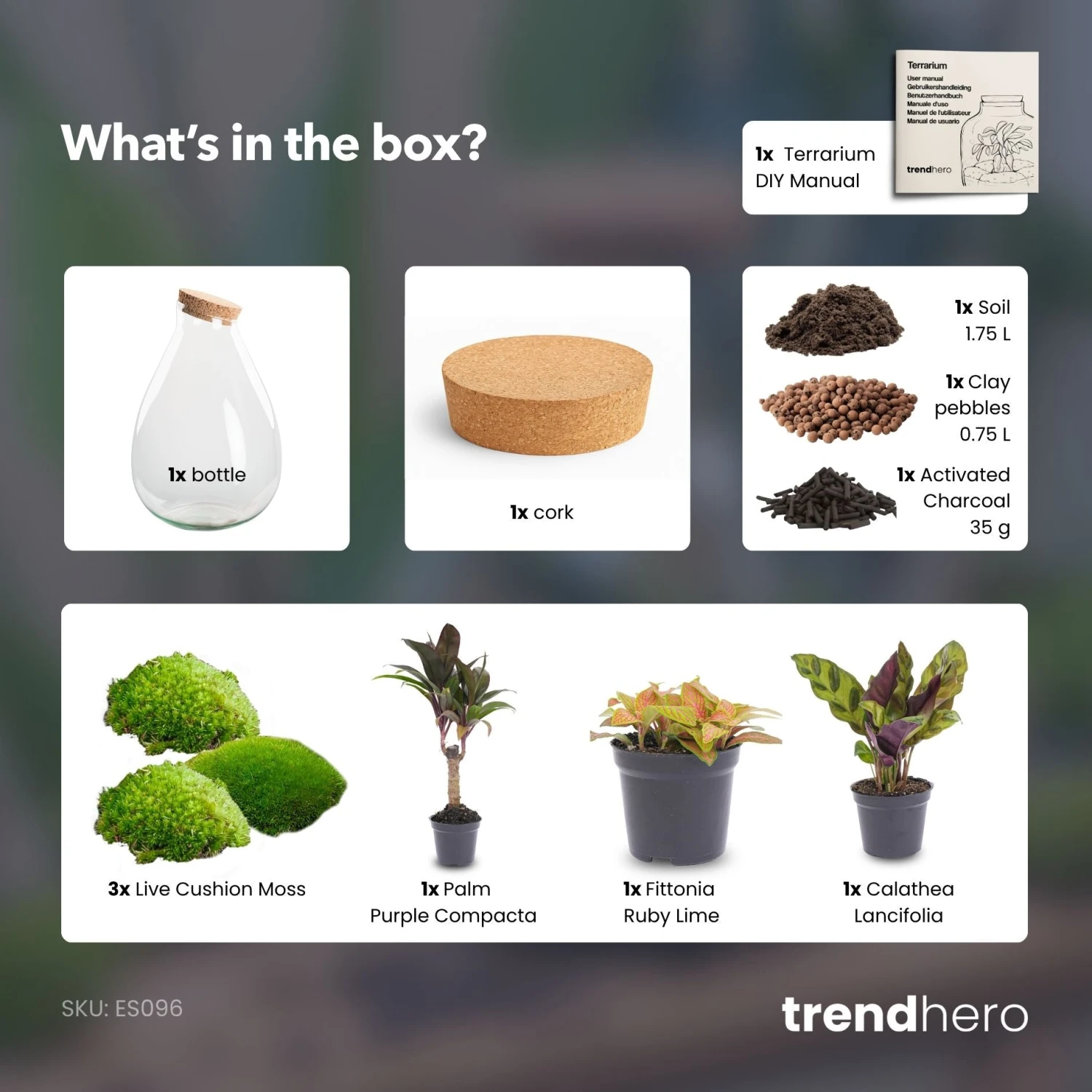 Drop XL Palm - Terrarium With Cork - Bottle Garden DIY Kit – Ø 24 Cm ↑ 37 Cm 5 Drop XL Palm - Terrarium With Cork - Bottle Garden DIY Kit – Ø 24 Cm ↑ 37 Cm - Image 3