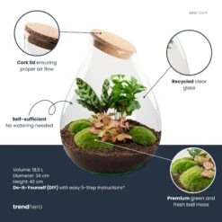 Drop XXL Red - Terrarium With Cork - Bottle Garden DIY Kit - Ø 34 Cm ↑ 43 Cm -Optimal Glass Plant Shop Drop XXL red plant terrarium diy kit info trendhero d37f5666 08c8 4440 8d61 20857996cf27
