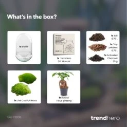 Egg XL Bonsai - Terrarium - Two-part Glass Dome - Bottle Garden DIY Kit - Ø 17.5 Cm ↑ 30 Cm -Optimal Glass Plant Shop Egg XL bonsai plant terrarium diy bottle garden