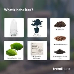 Egg - Terrarium - Two-part Glass Dome - Bottle Garden DIY Kit - Ø 12 Cm ↑ 25 Cm 21 Egg - Terrarium - Two-part Glass Dome - Bottle Garden DIY Kit - Ø 12 Cm ↑ 25 Cm -Optimal Glass Plant Shop Egg choose plant terrarium diy bottle garden