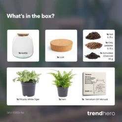 Emma Mini - Terrarium With Cork - Bottle Garden DIY Kit - Ø 19 Cm ↑ 20 Cm -Optimal Glass Plant Shop Emma mini choose terrarium diy bottle garden