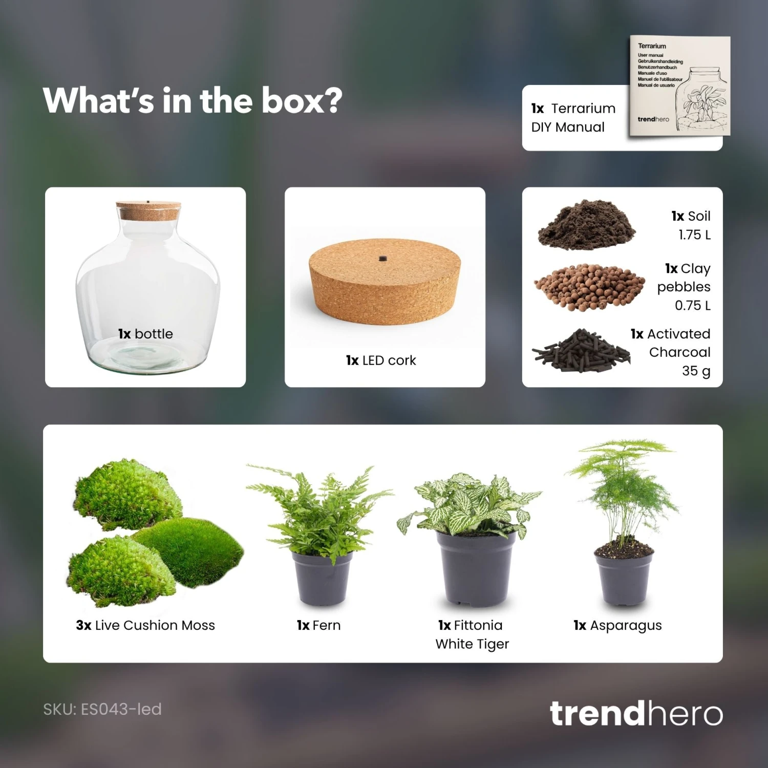 Fat Joe Green - Terrarium With Light - Bottle Garden DIY Kit - Ø 29 Cm ↑ 30 Cm 7 Fat Joe Green - Terrarium With Light - Bottle Garden DIY Kit - Ø 29 Cm ↑ 30 Cm - Image 5