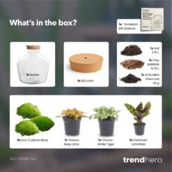 Fat Joe Red - Terrarium With Light - Bottle Garden DIY Kit - Ø 29 Cm ↑ 30 Cm -Optimal Glass Plant Shop Fat Joe Red terrarium diy bottle garden 0238eeb5 2d99 4fbf 9e3f 218b29e7d385