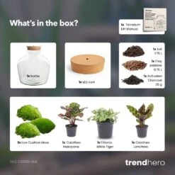 Fat Joe - Terrarium With Light - Bottle Garden DIY Kit - Ø 29 Cm ↑ 30 Cm -Optimal Glass Plant Shop Fat Joe terrarium diy bottle garden 01af9374 da92 4e09 ad3c e6412acfc53f