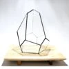 Geometric Terrarium - Jungle Gem - Vivarium - ↑ 16 X 15 X 19,5 Cm (LxWxH) - Glass -Optimal Glass Plant Shop HYPERION 6 8002e294 1330 470e a010 0b5dc8ec988a