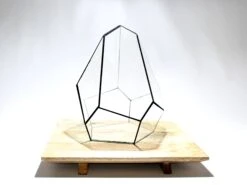 Geometric Terrarium - Jungle Gem - Vivarium - ↑ 16 X 15 X 19,5 Cm (LxWxH) - Glass