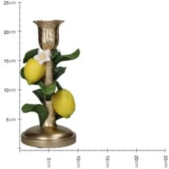 Candle Holder With Lemon Plant - ↑ 22 Cm -Optimal Glass Plant Shop KAL 1978 4
