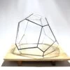 Geometric Terrarium - Torno - Vivarium - ↑ 28 X 26 X 24 Cm (LxWxH) - Glass -Optimal Glass Plant Shop LUNARCAMPA 1