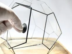 Geometric Terrarium - Torno - Vivarium - ↑ 28 X 26 X 24 Cm (LxWxH) - Glass 13 Geometric Terrarium - Torno - Vivarium - ↑ 28 X 26 X 24 Cm (LxWxH) - Glass -Optimal Glass Plant Shop LUNARCAMPA 4