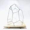 Geometric Terrarium - Stellar - Vivarium - 27x27x36 Cm - Waterproof - Glass -Optimal Glass Plant Shop LUNARCAMPB 1 daa1e658 a961 4ad7 923e 4c3ae2b7125d