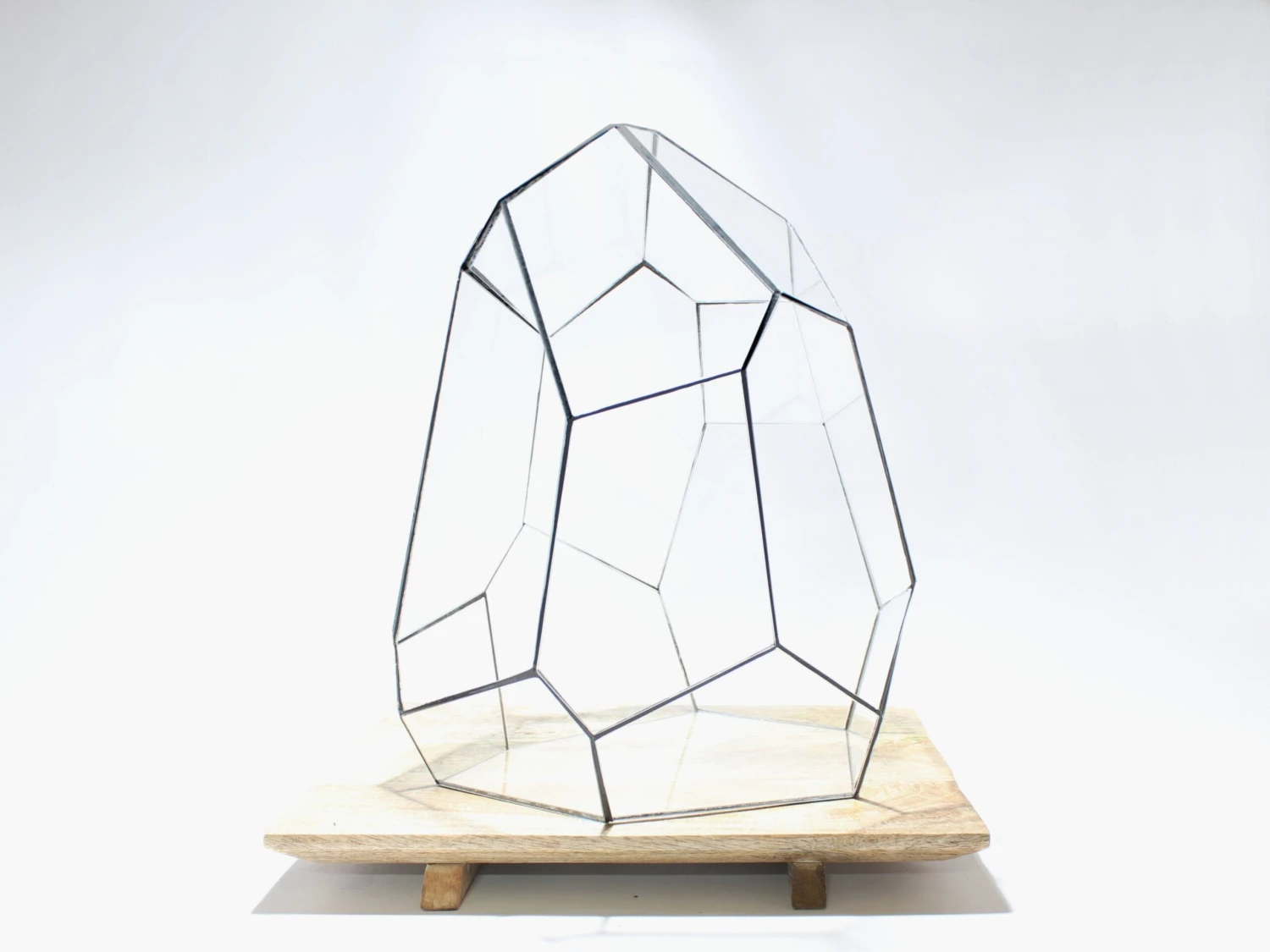 Geometric Terrarium - Stellar - Vivarium - 27x27x36 Cm - Waterproof - Glass 2 Geometric Terrarium - Stellar - Vivarium - 27x27x36 Cm - Waterproof - Glass