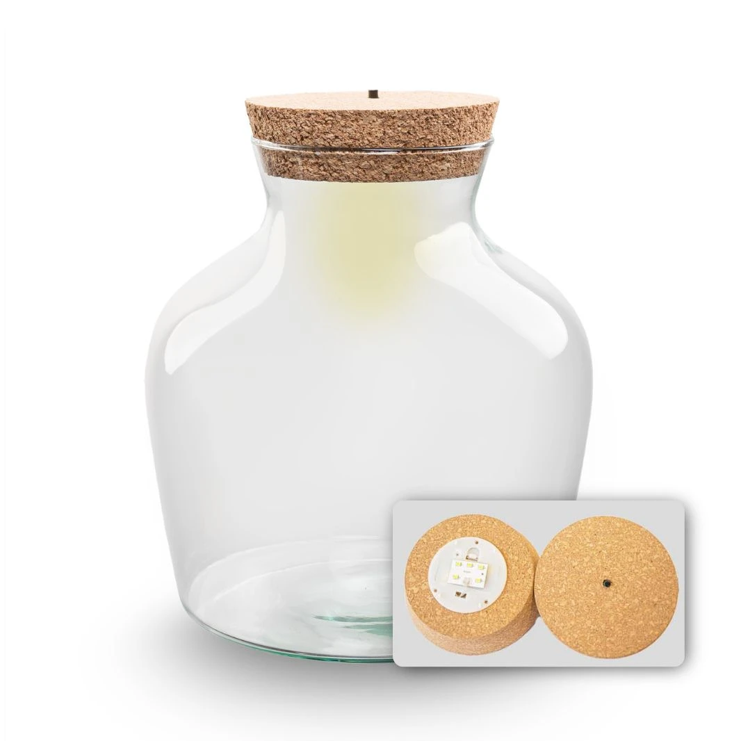 Terrarium Bottle 'Little Joe' - Incl. LED Cork - Closed Terrarium Ø 20 Cm ↑ 22 Cm 3 Terrarium Bottle 'Little Joe' - Incl. LED Cork - Closed Terrarium Ø 20 Cm ↑ 22 Cm
