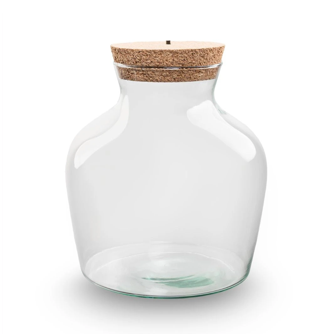 Terrarium Bottle 'Little Joe' - Incl. LED Cork - Closed Terrarium Ø 20 Cm ↑ 22 Cm 4 Terrarium Bottle 'Little Joe' - Incl. LED Cork - Closed Terrarium Ø 20 Cm ↑ 22 Cm - Image 2