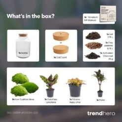 Milky Palm - Terrarium - Bottle Garden DIY Kit - Ø 21 Cm ↑ 30 Cm 11 Milky Palm - Terrarium - Bottle Garden DIY Kit - Ø 21 Cm ↑ 30 Cm -Optimal Glass Plant Shop Milky palm terrarium diy bottle garden 8d0f9886 08f7 4d0a a90e 968fb025c036