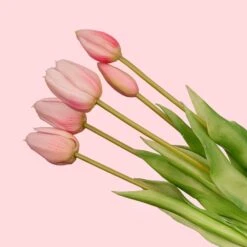 Strawberry Girl Vase + 10x Real Touch Pink Tulips – Silk Artificial Tulips -Optimal Glass Plant Shop RozeWeb1 ac0684a1 1ff3 4c1f 8928 eaa78561f869
