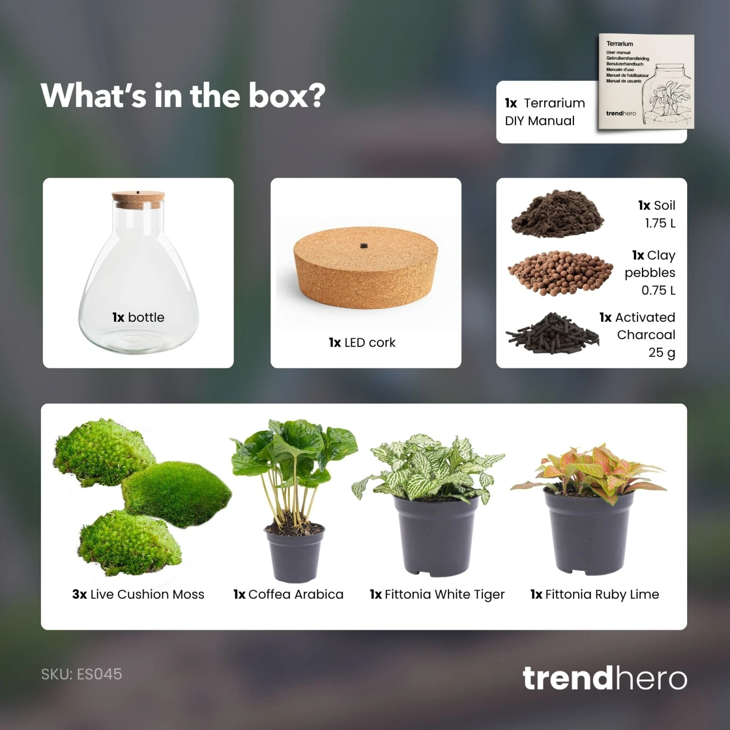 Sam Coffea - Terrarium With Light - Bottle Garden DIY Kit - Ø 24.5 Cm ↑ 30 Cm 9 Sam Coffea - Terrarium With Light - Bottle Garden DIY Kit - Ø 24.5 Cm ↑ 30 Cm - Image 7