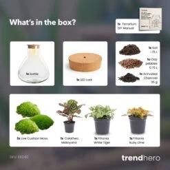 Sam XL Red - Terrarium With Light - Bottle Garden DIY Kit - Ø 30 cm ↑ 32 cm -Optimal Glass Plant Shop SamXL Red terrarium diy bottle garden