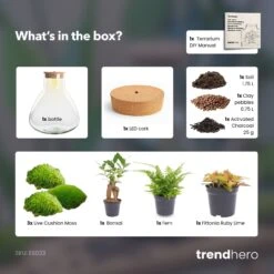 Sam XL Bonsai - Terrarium With Light - Bottle Garden DIY Kit - Ø 30 cm ↑ 32 cm 12 Sam XL Bonsai - Terrarium With Light - Bottle Garden DIY Kit - Ø 30 cm ↑ 32 cm -Optimal Glass Plant Shop SamXL bonsai terrarium diy bottle garden