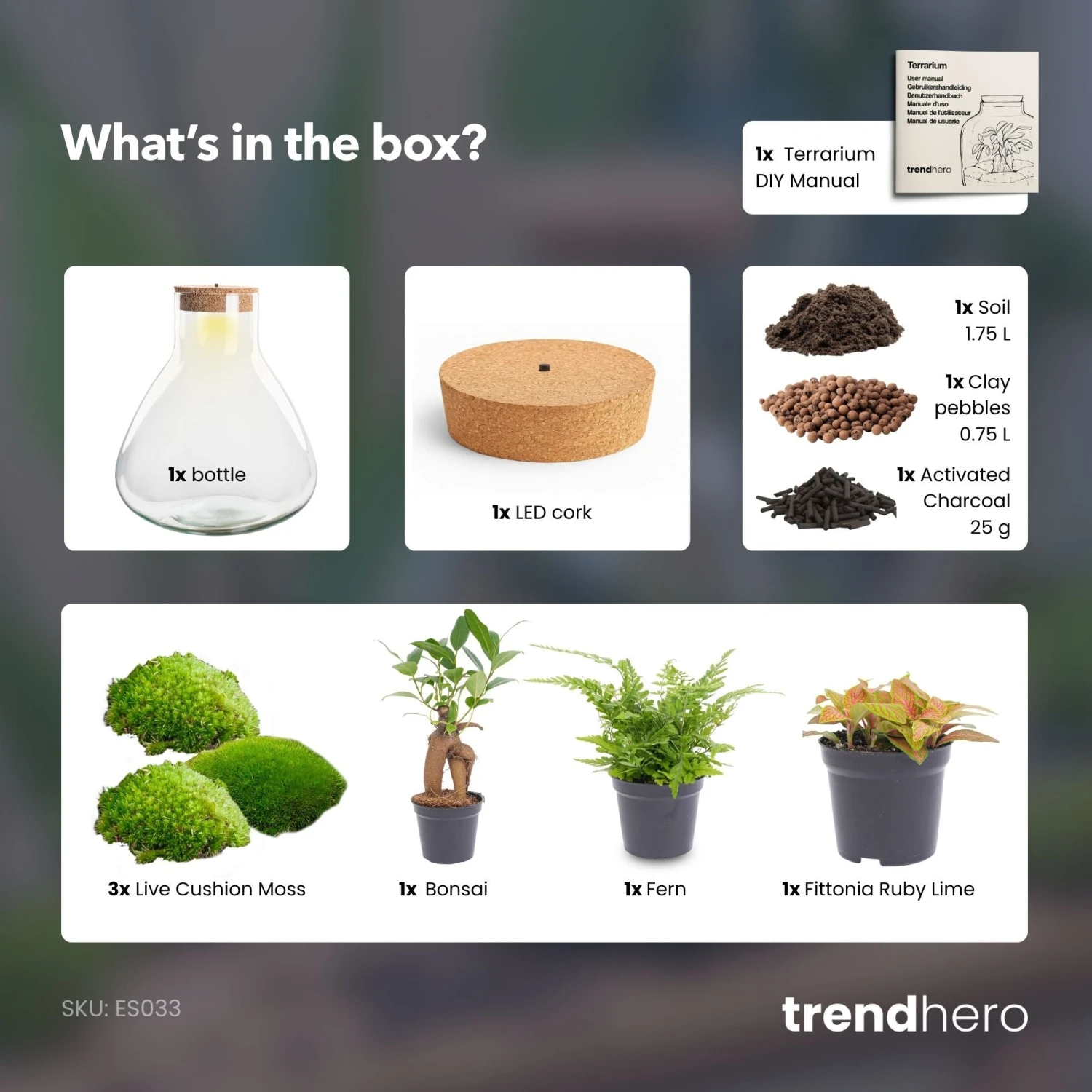 Sam XL Bonsai - Terrarium With Light - Bottle Garden DIY Kit - Ø 30 cm ↑ 32 cm 7 Sam XL Bonsai - Terrarium With Light - Bottle Garden DIY Kit - Ø 30 cm ↑ 32 cm - Image 5