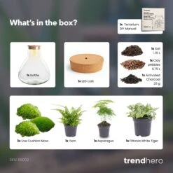 Sam XL - Terrarium With Light - Bottle Garden DIY Kit - Ø 30 cm ↑ 32 cm 15 Sam XL - Terrarium With Light - Bottle Garden DIY Kit - Ø 30 cm ↑ 32 cm -Optimal Glass Plant Shop SamXL green terrarium diy bottle garden 23b341e9 38ea 4e25 96ce 8cb99336c5dc