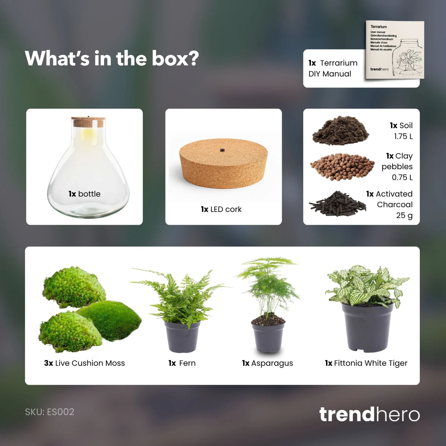 Sam XL - Terrarium With Light - Bottle Garden DIY Kit - Ø 30 cm ↑ 32 cm 9 Sam XL - Terrarium With Light - Bottle Garden DIY Kit - Ø 30 cm ↑ 32 cm - Image 7