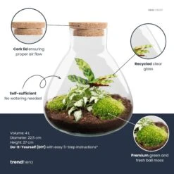 Sammie - Terrarium With Light - Bottle Garden DIY Kit - Ø 22,5 Cm ↑ 27 Cm -Optimal Glass Plant Shop Sammie calathea plant terrarium diy kit info trendhero