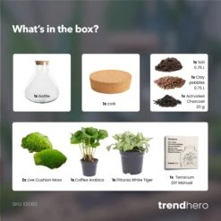 Sammie - Terrarium With Light - Bottle Garden DIY Kit - Ø 22,5 Cm ↑ 27 Cm -Optimal Glass Plant Shop Sammie coffea white terrarium diy bottle garden