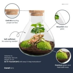 Sammie - Terrarium With Light - Bottle Garden DIY Kit - Ø 22,5 Cm ↑ 27 Cm -Optimal Glass Plant Shop Sammie red coffea plant terrarium diy kit info trendhero