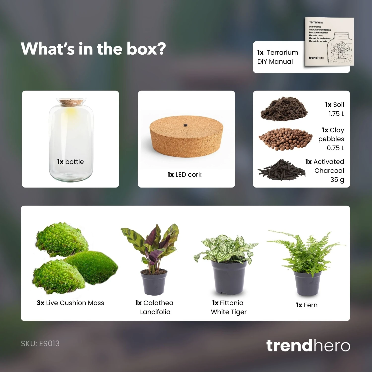 Sven XL Botanical - Terrarium With Light - Bottle Garden DIY Kit - Ø 23 Cm ↑ 43 Cm 6 Sven XL Botanical - Terrarium With Light - Bottle Garden DIY Kit - Ø 23 Cm ↑ 43 Cm - Image 4