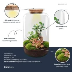 Sven XL Bonsai - Terrarium With Light - Bottle Garden DIY Kit - Ø 23 Cm ↑ 43 Cm 10 Sven XL Bonsai - Terrarium With Light - Bottle Garden DIY Kit - Ø 23 Cm ↑ 43 Cm -Optimal Glass Plant Shop Sven xl bonsai red plant terrarium diy kit info trendhero de1d84c8 02bb 4eac a972 62c1f6389b4e
