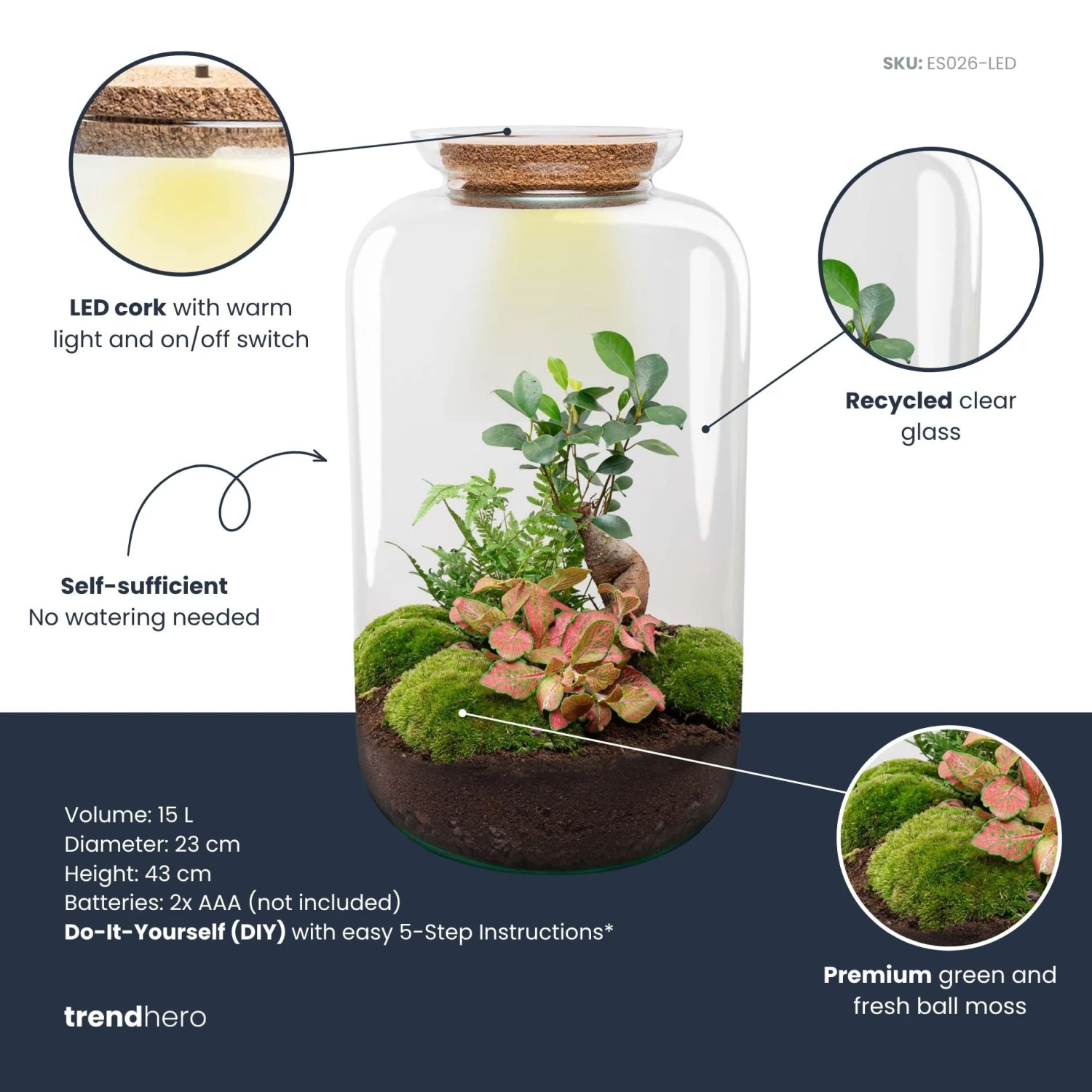 Sven XL Bonsai - Terrarium With Light - Bottle Garden DIY Kit - Ø 23 Cm ↑ 43 Cm 5 Sven XL Bonsai - Terrarium With Light - Bottle Garden DIY Kit - Ø 23 Cm ↑ 43 Cm - Image 3