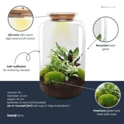 Sven XL Botanical - Terrarium With Light - Bottle Garden DIY Kit - Ø 23 Cm ↑ 43 Cm 9 Sven XL Botanical - Terrarium With Light - Bottle Garden DIY Kit - Ø 23 Cm ↑ 43 Cm -Optimal Glass Plant Shop Sven xl botanical plant terrarium diy kit info trendhero