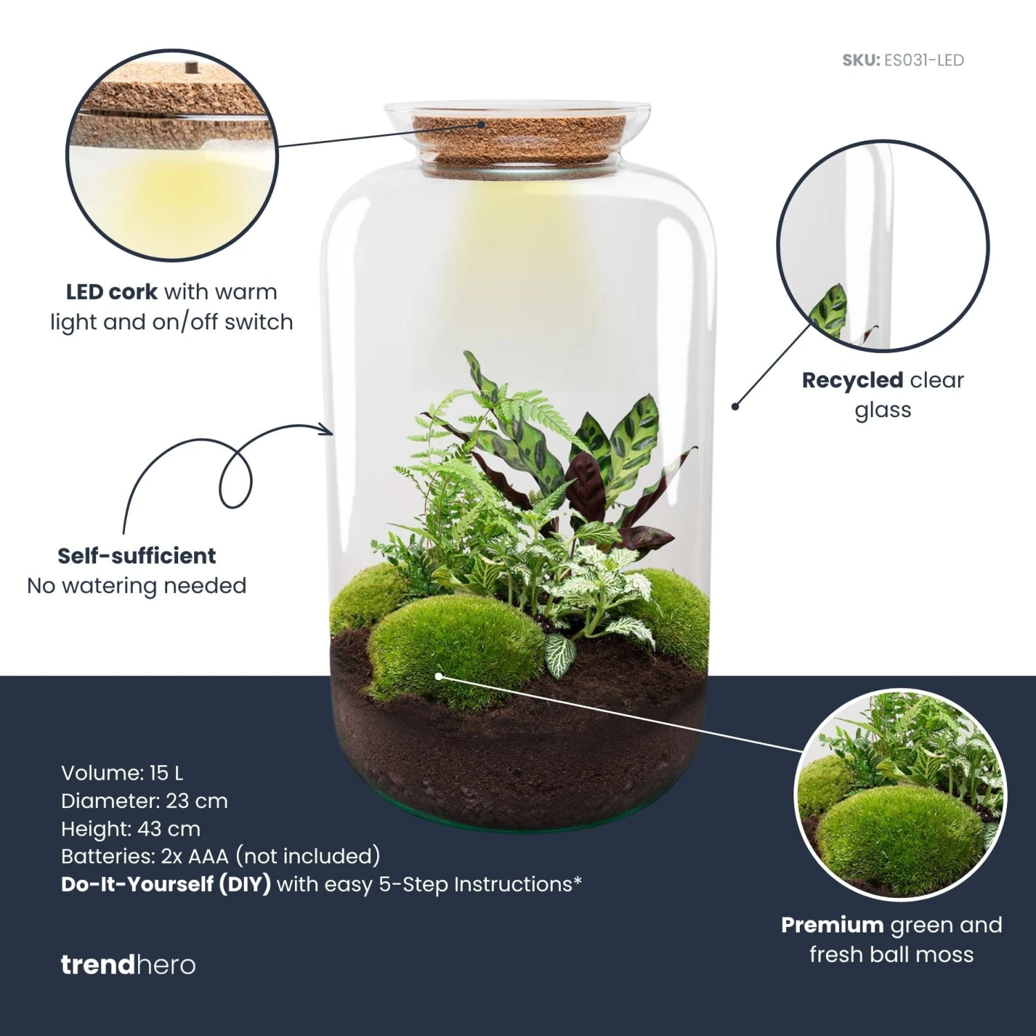 Sven XL Botanical - Terrarium With Light - Bottle Garden DIY Kit - Ø 23 Cm ↑ 43 Cm 5 Sven XL Botanical - Terrarium With Light - Bottle Garden DIY Kit - Ø 23 Cm ↑ 43 Cm - Image 3