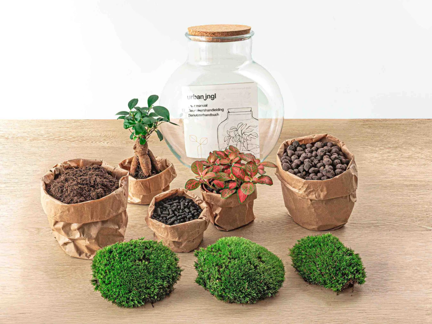 Teddy Bonsai - Terrarium With Light - Bottle Garden DIY Kit - Ø 25 Cm ↑ 26,5 Cm 7 Teddy Bonsai - Terrarium With Light - Bottle Garden DIY Kit - Ø 25 Cm ↑ 26,5 Cm - Image 5