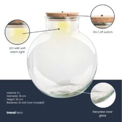 Terrarium Bottle 'Teddy' - Incl. (LED) Cork - Closed Terrarium Ø 25 Cm ↑ 26.5 Cm -Optimal Glass Plant Shop Terrarium fles trendhero bolder bob
